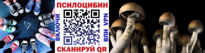 купить закладку  Междуреченск  Псилоцибиновые грибы мицелий 